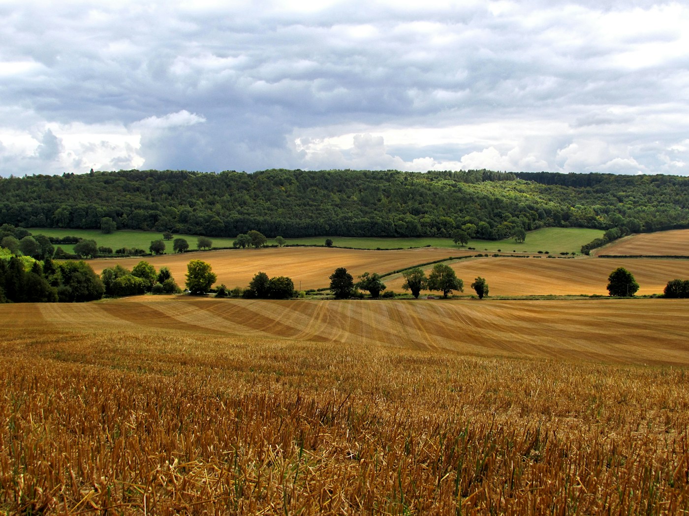 Open fields and countryside near Wendover, England